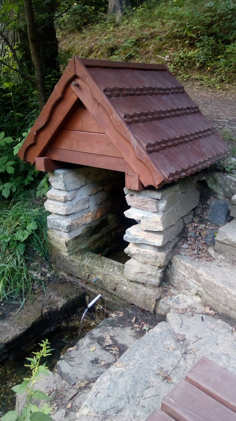 studánka Pod Hůrkou (13988) - červenec 2021