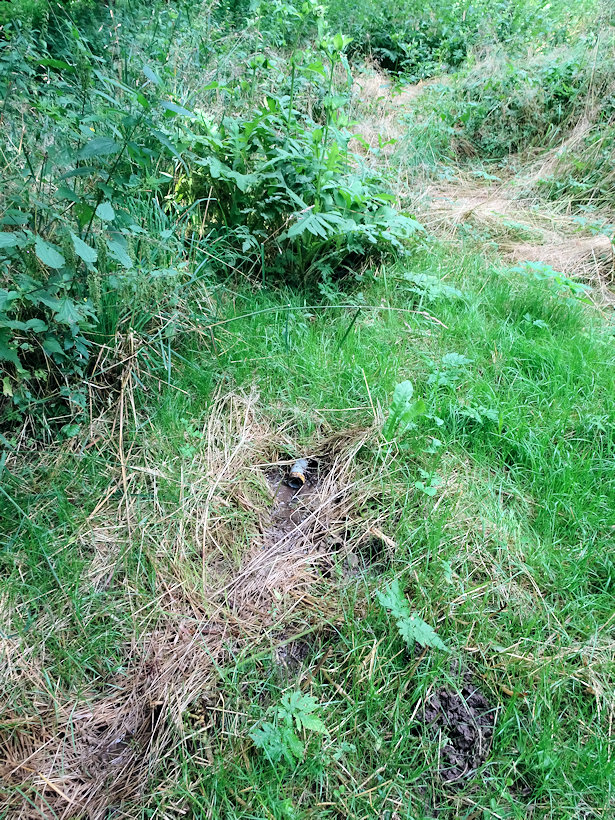 studánka U lomu 1 (14009) - červenec 2021