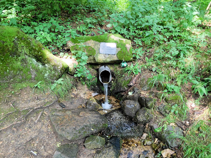 studánka pramen Hlučného potoka (14015) - červenec 2021