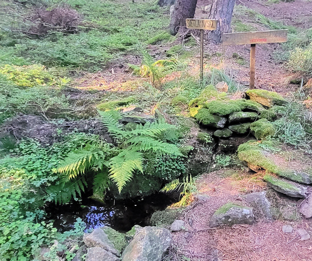 studánka Nad kempem (14028) - srpen 2021