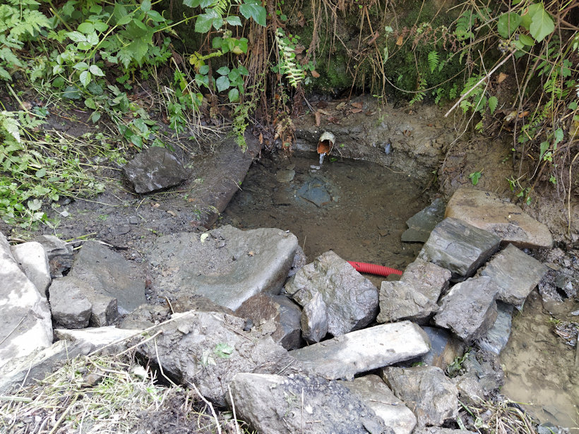 studánka Srnkov (14042) - srpen 2021