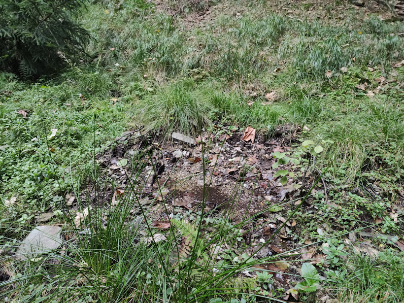 studánka bez jména (14101) - září 2021