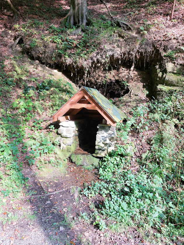 studánka Drahomíra (14107) - září 2021