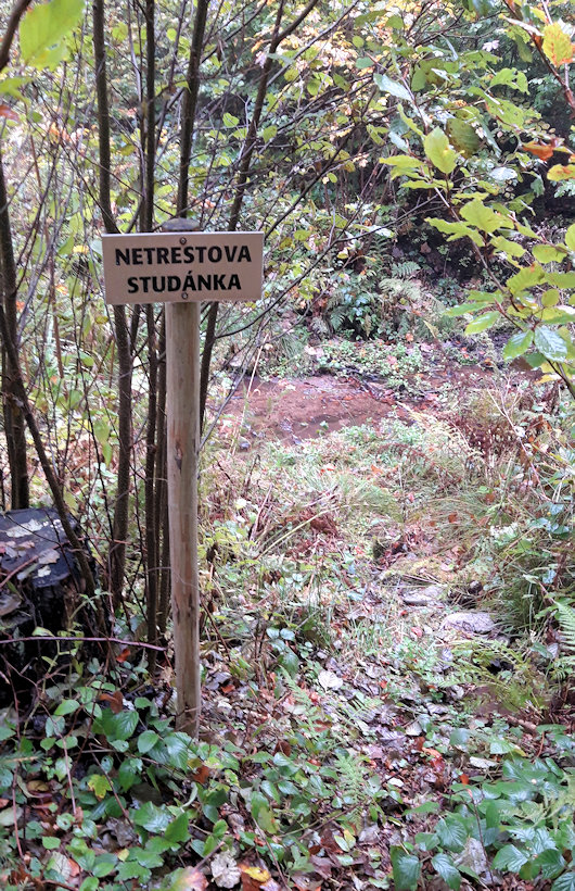 Netrestova studánka (14133) - říjen 2021