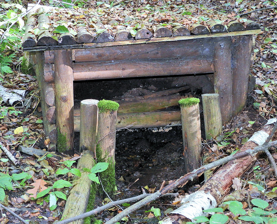 studánka Palisádová (14137) - říjen 2021