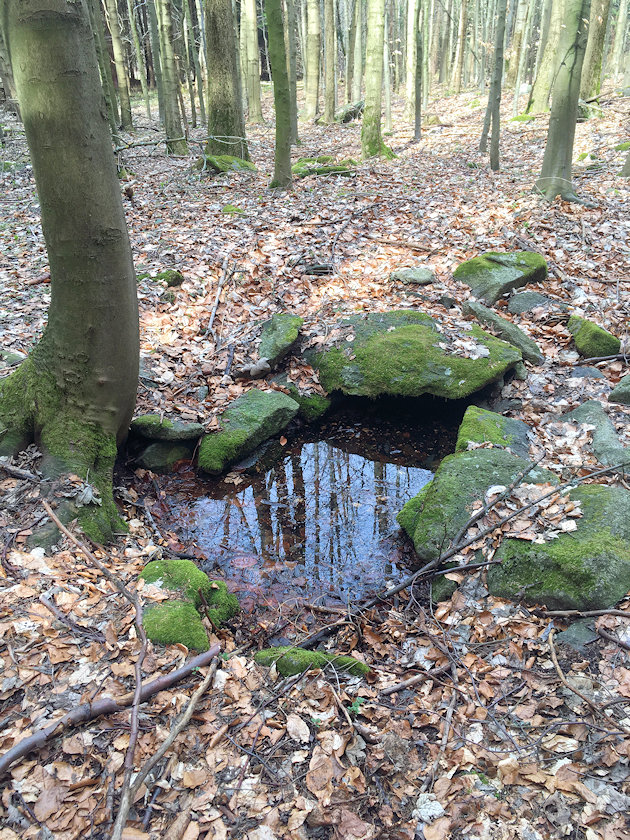 Javorová studánka (14144) - duben 2021