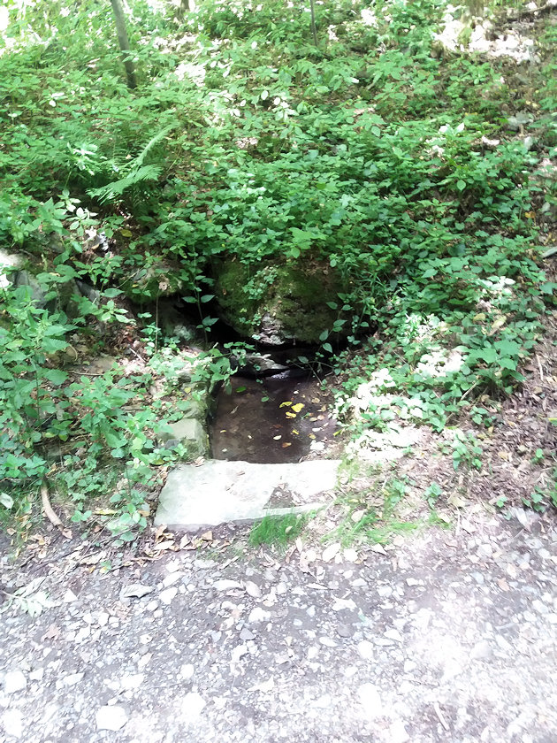 jiný vodní zdroj bez jména (14168) - červenec 2021