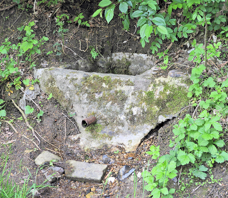 studánka Šestákova horní (14174) - prosinec 2021