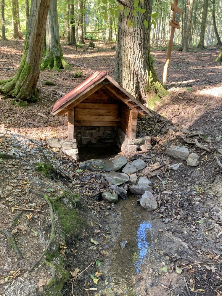 studánka U Cikánky (14178) - září 2024