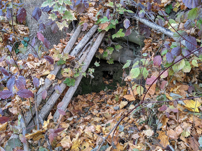 studánka Za koupalištěm (14180) - listopad 2021