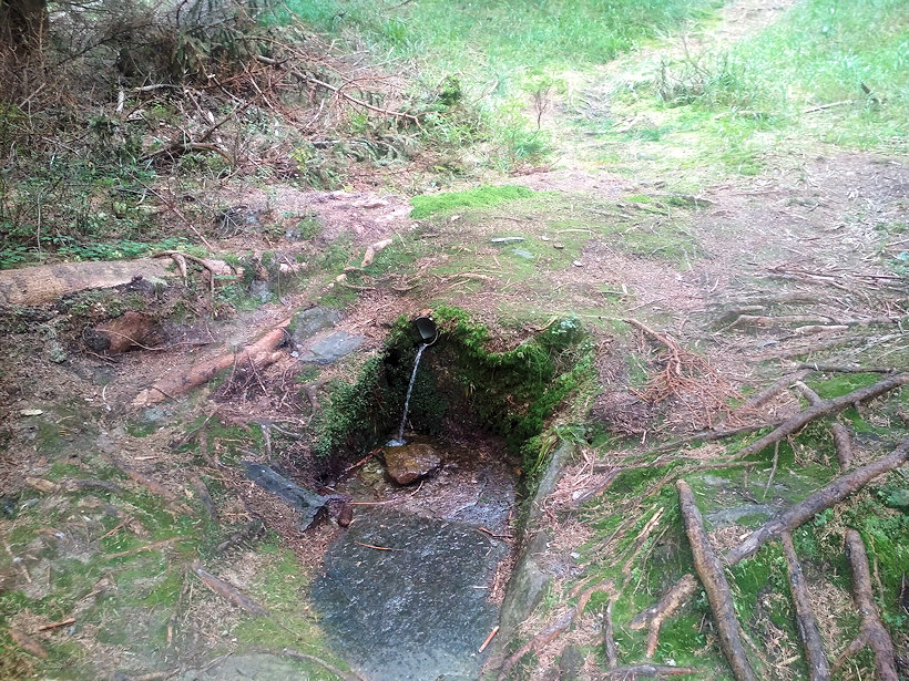 studánka Na Trojáku (14183) - září 2021