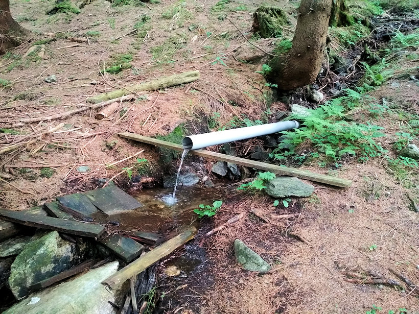 studánka U Sokolí chaty (14186) - srpen 2021