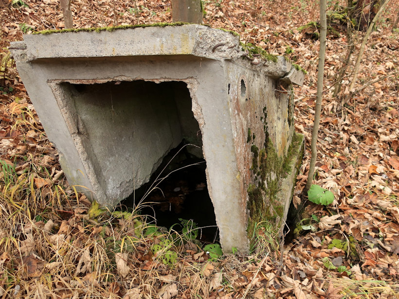 studánka bez jména (14206) - listopad 2021