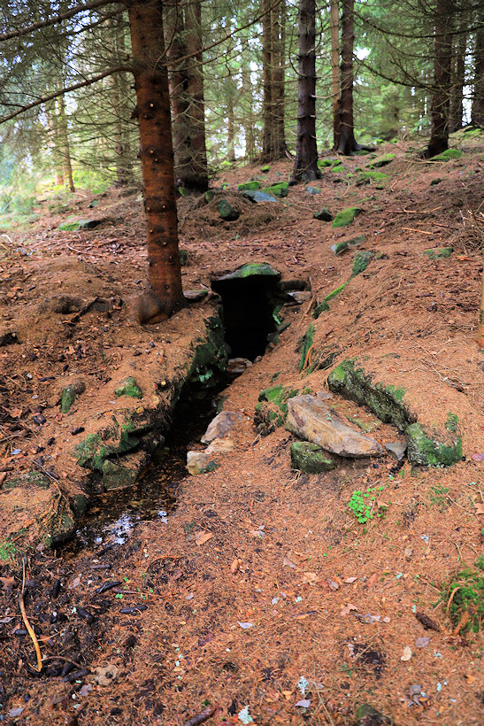 studánka Horní Popelná (14213) - leden 2022