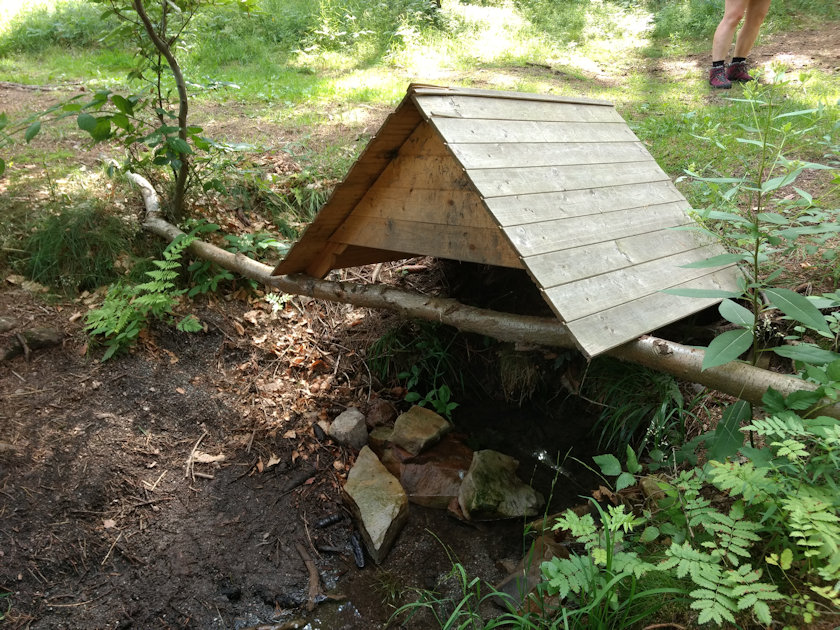 studánka U Smaragdového jezírka (14233) - červenec 2021
