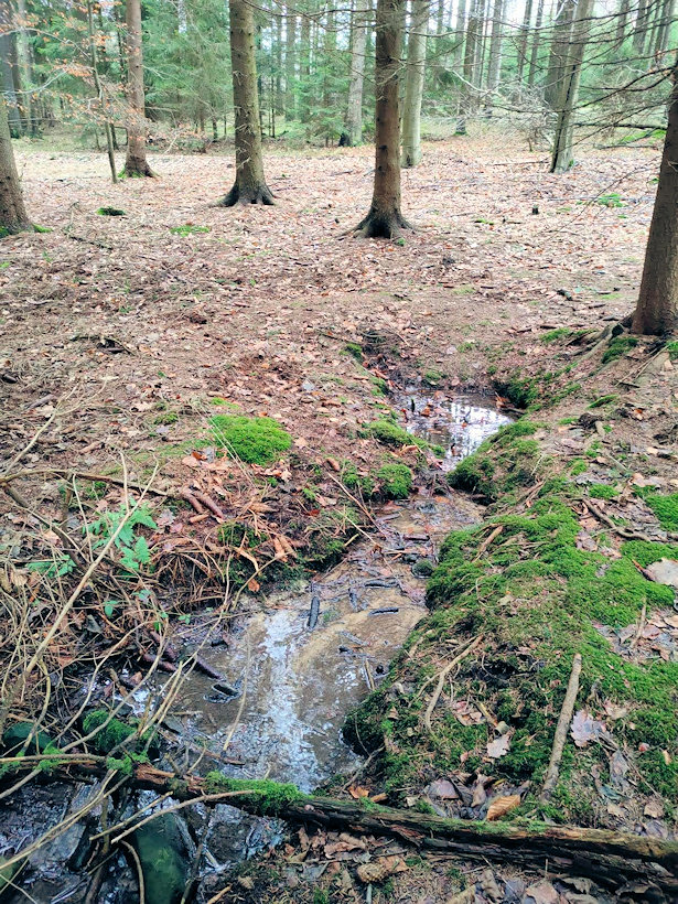 studánka bez jména (14238) - únor 2022