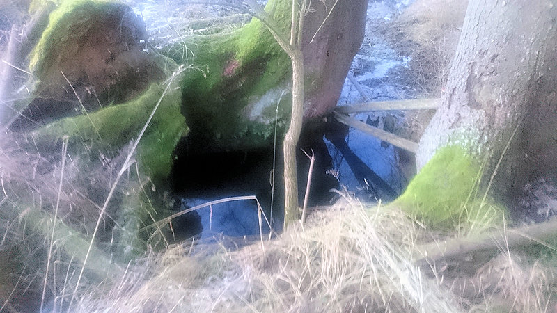 studánka Pod smrky (14256) - únor 2022