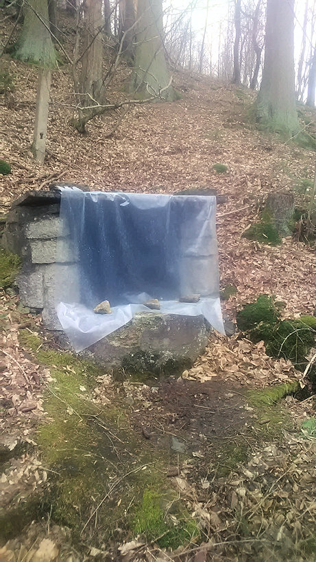studánka Pod mostem (14258) - únor 2022