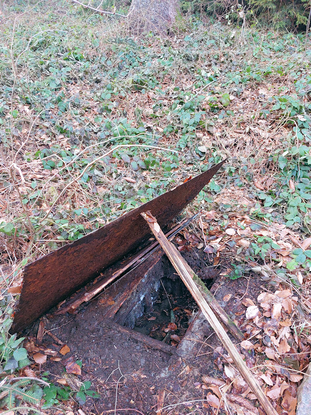 studánka Nad osadou Ahasverů (14289) - březen 2022