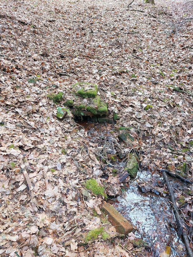 studánka Cihlová (14292) - březen 2022