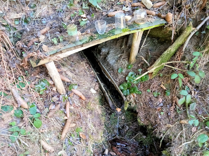 studánka Pod Stráněmi (14298) - březen 2022