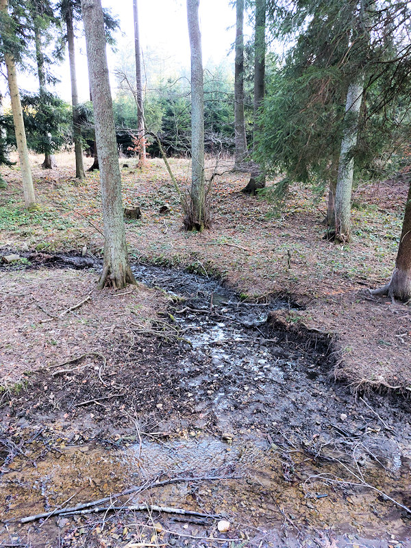 prameniště Pod soutokem (14304) - březen 2022