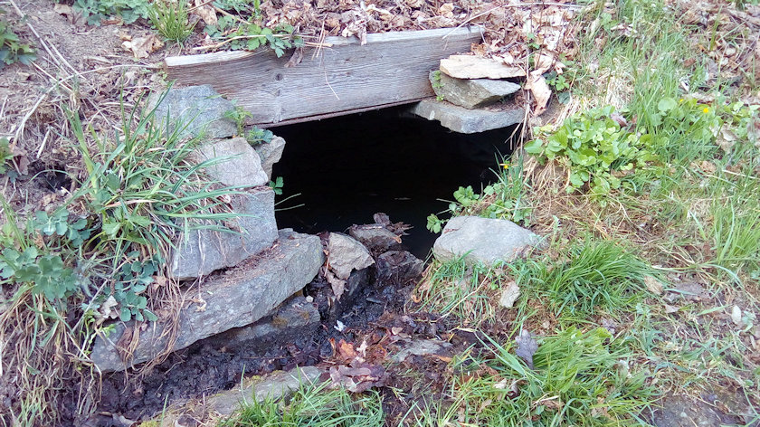 studánka bez jména (14319) - duben 2022