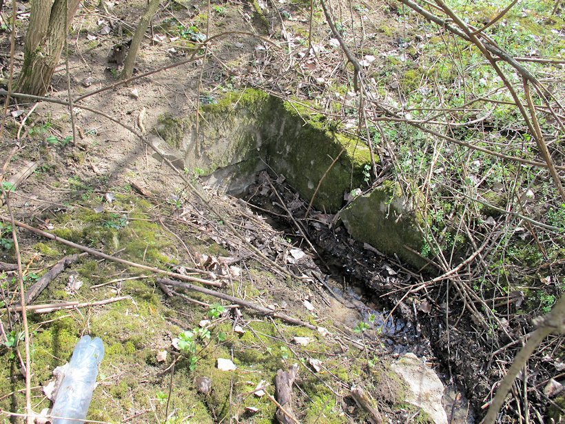 studánka bez jména (14321) - duben 2022