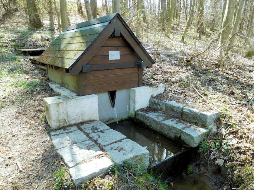 studánka Pod Klekem (14348) - květen 2022