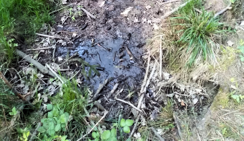 Prasečí studánka (14360) - květen 2022