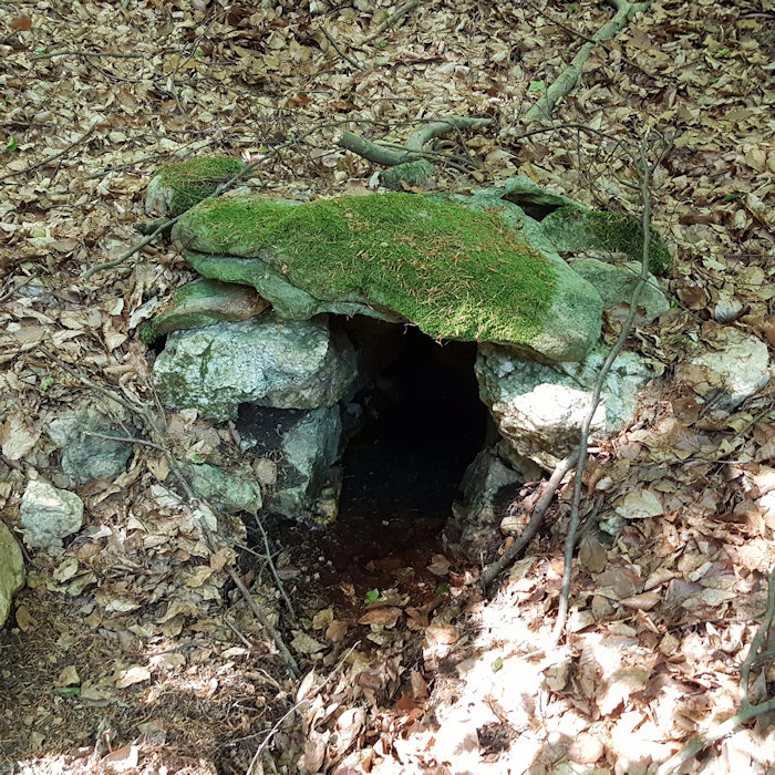 studánka bez jména (14361) - květen 2022