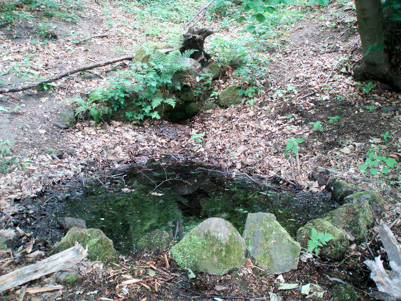 studánka Pod Sedmi duby (14374) - listopad -0001
