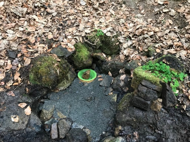 studánka Nad Svatým Hubertem (14378) - květen 2022