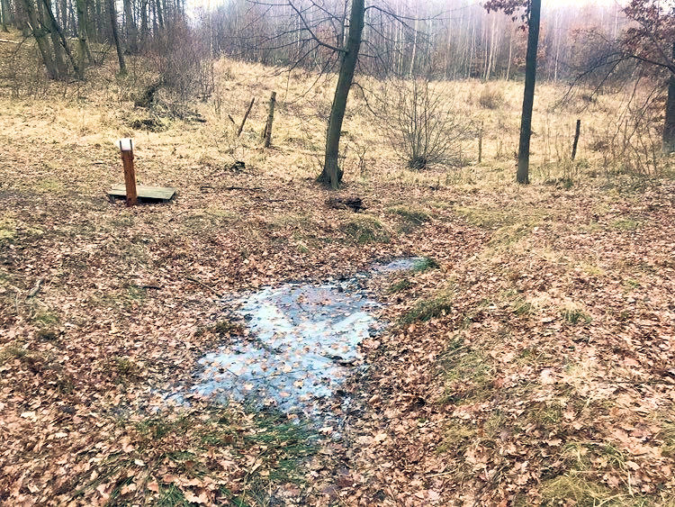 prameniště bez jména (14380) - květen 2022