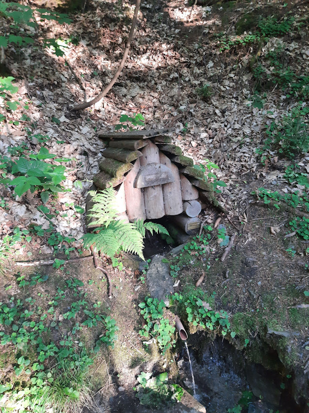studánka bez jména (14384) - květen 2022