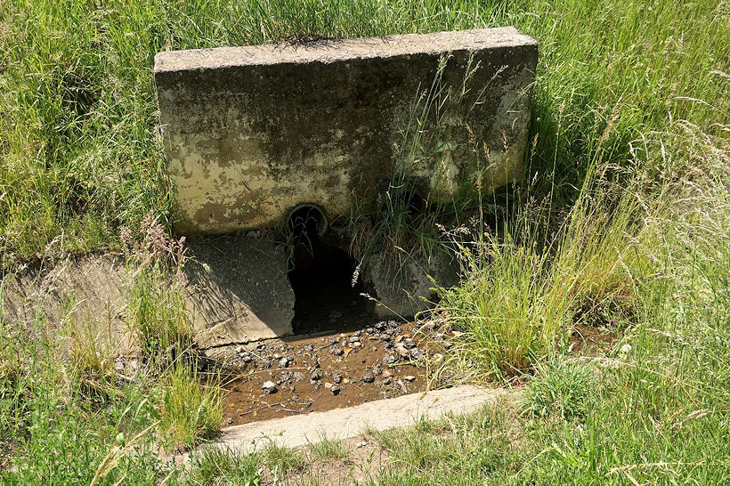 studánka Pod Rozárkou (14389) - červen 2022