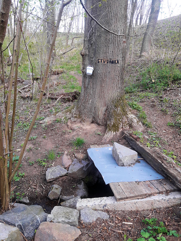 studánka U Černého lesa (14392) - duben 2022
