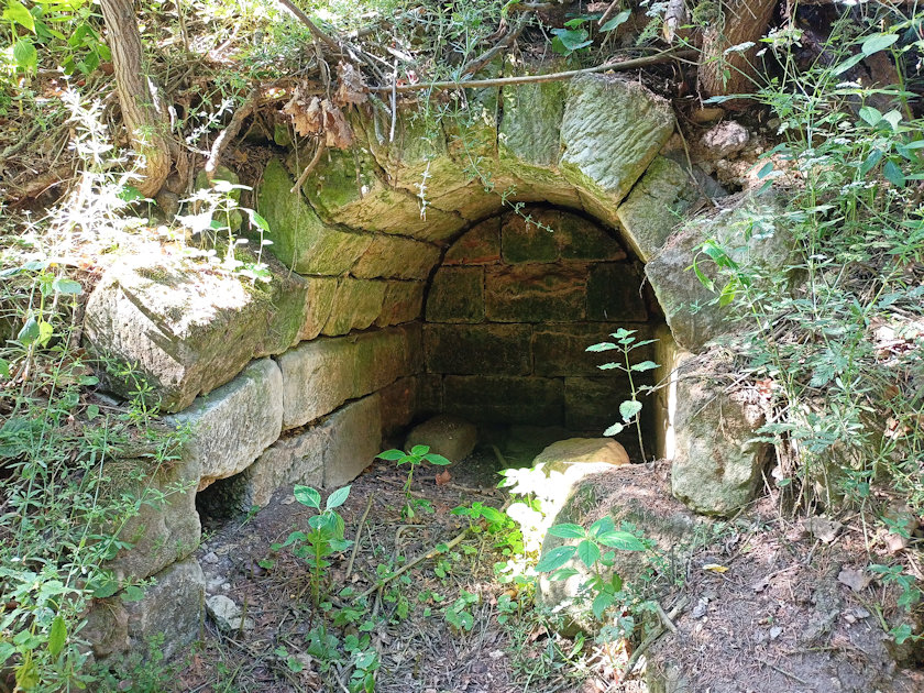 studánka V Nedvídku (14398) - červen 2022