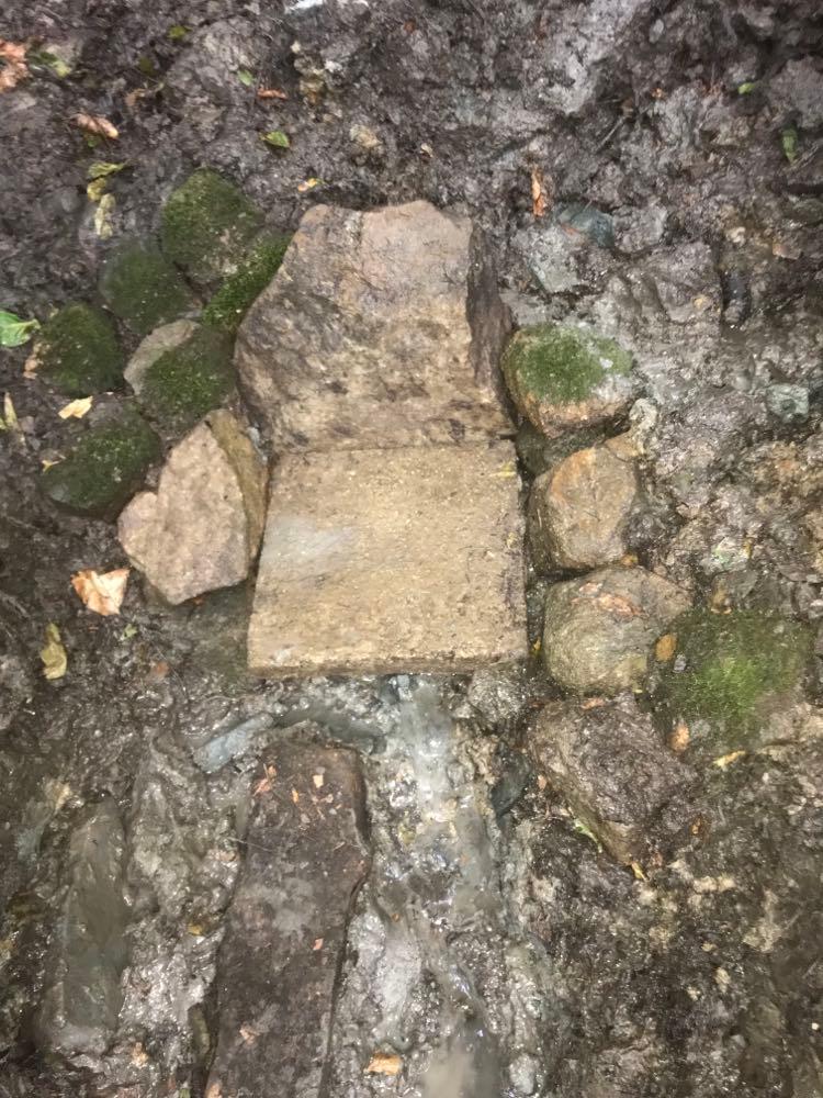 Merlinova studánka (14400) - červen 2022