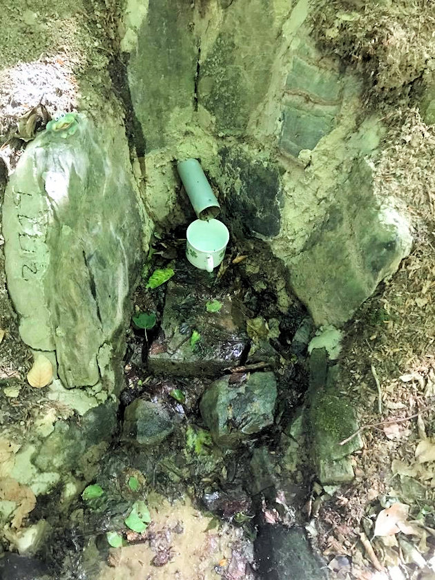 studánka Na Divinách (14424) - červenec 2022