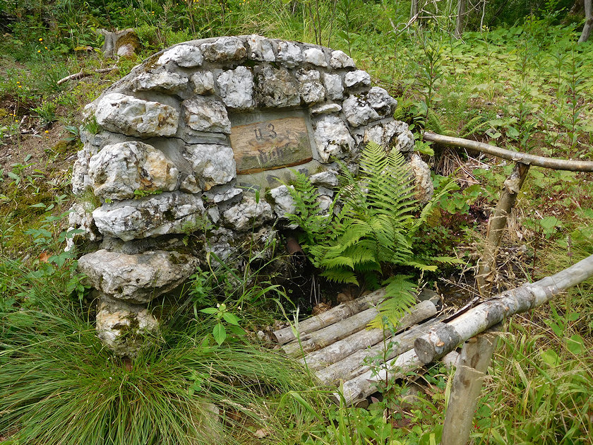 studánka U Třech dubů (14430) - červenec 2022