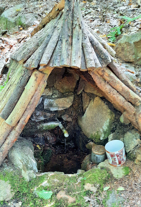 studánka bez jména (14435) - červenec 2022