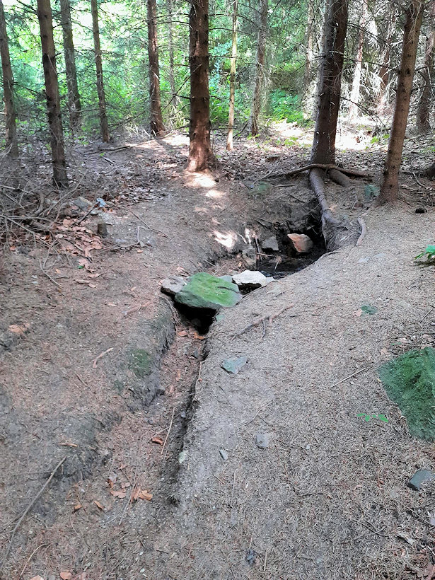studánka U Ounuzi (14450) - červenec 2022