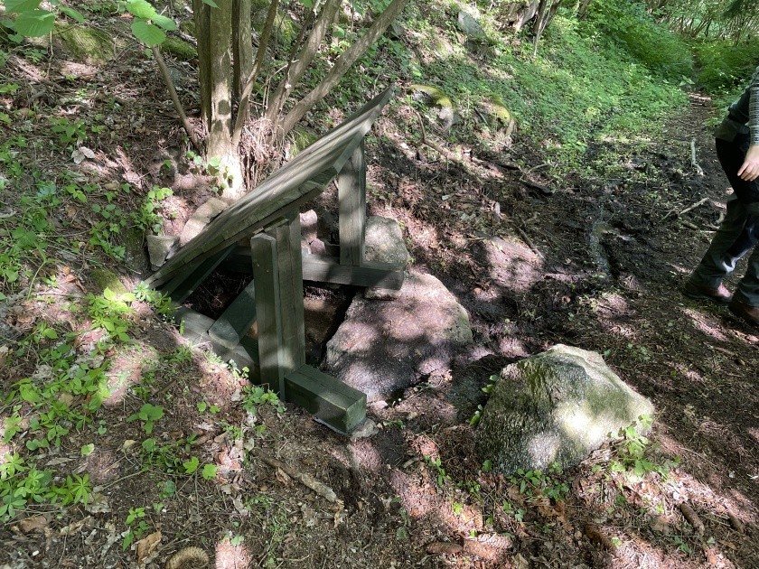 studánka U Miskova (14451) - květen 2023