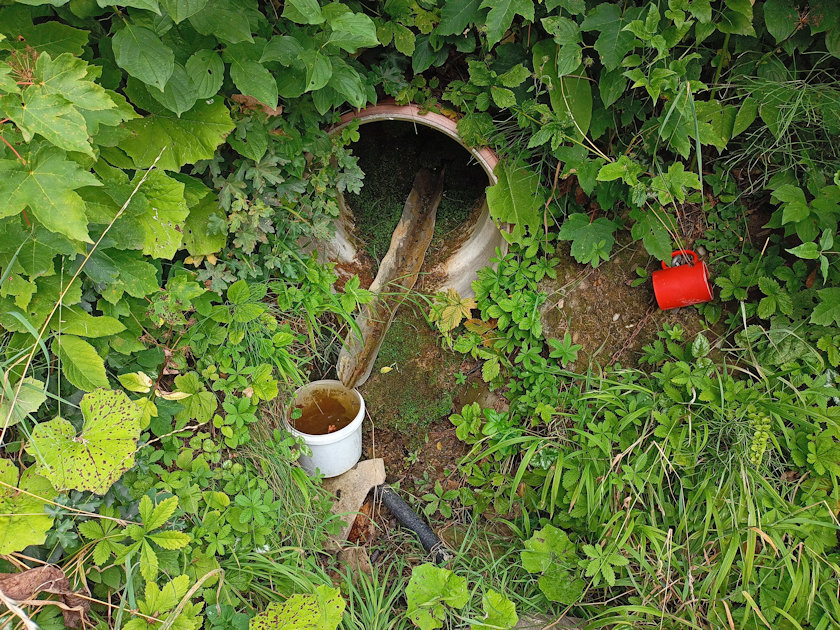 studánka Radějov (14458) - srpen 2022
