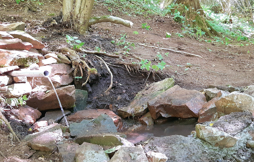 studánka Ve stráni (14475) - srpen 2022