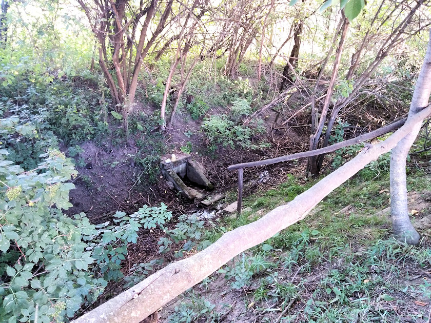 studánka Na Sadkově (14485) - srpen 2022