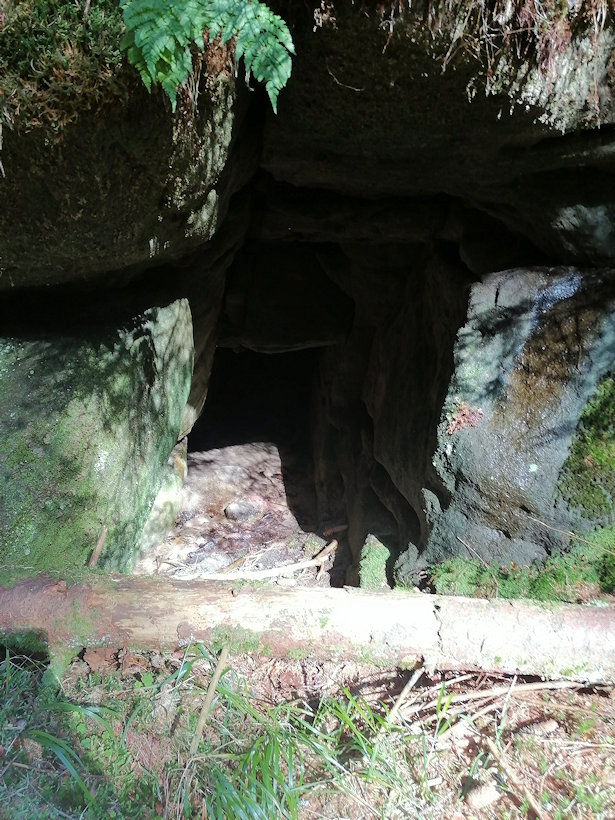studánka Pod liščí norou (14486) - srpen 2022