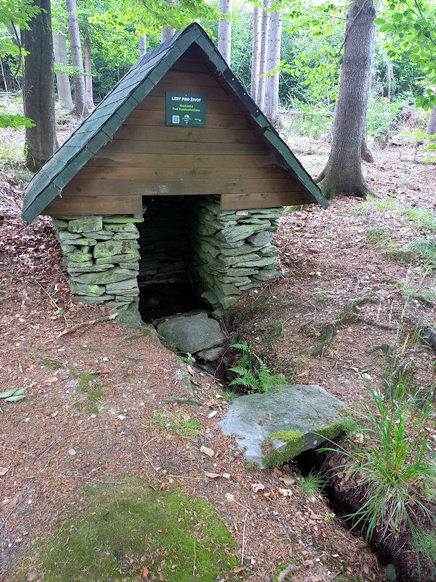 studánka Pod Trautenberkem (14487) - srpen 2022