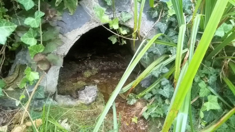 studánka Mezi rybníčky (14494) - srpen 2022